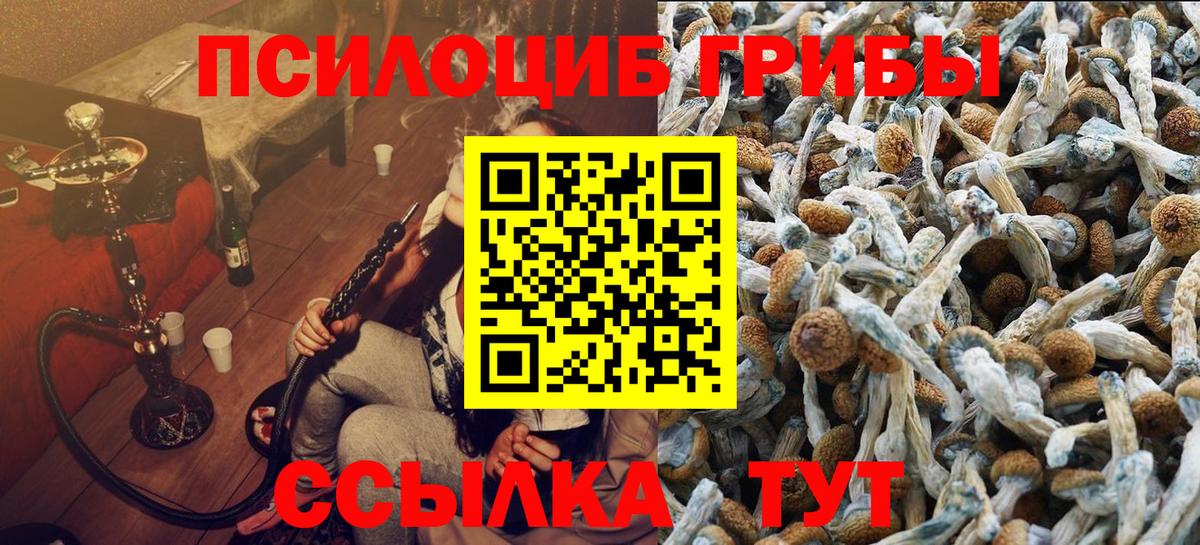 Галлюциногенные грибы Cubensis Ипатово